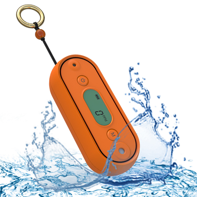 Good price IP67 Handheld Portable Carbon Monoxide Alarm CO Gas Detector For Basement Garage online