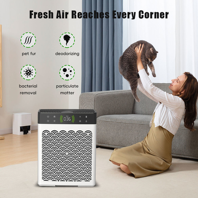 Good price OEM Indoor Dehumidifier And Air Purifier Cat Litter And Dog Urine Deodorizer online