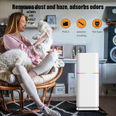 Good price Home Air Purifier: Comprehensive Purification Targets Dust, Pet Dander, Viruses, Mold, and Smoke online