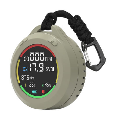 Good price PT08 Electrochemical Sensor CO Alarm - Portable Sound-Light Alert, 300-1100hPa Home/Garage/RV online